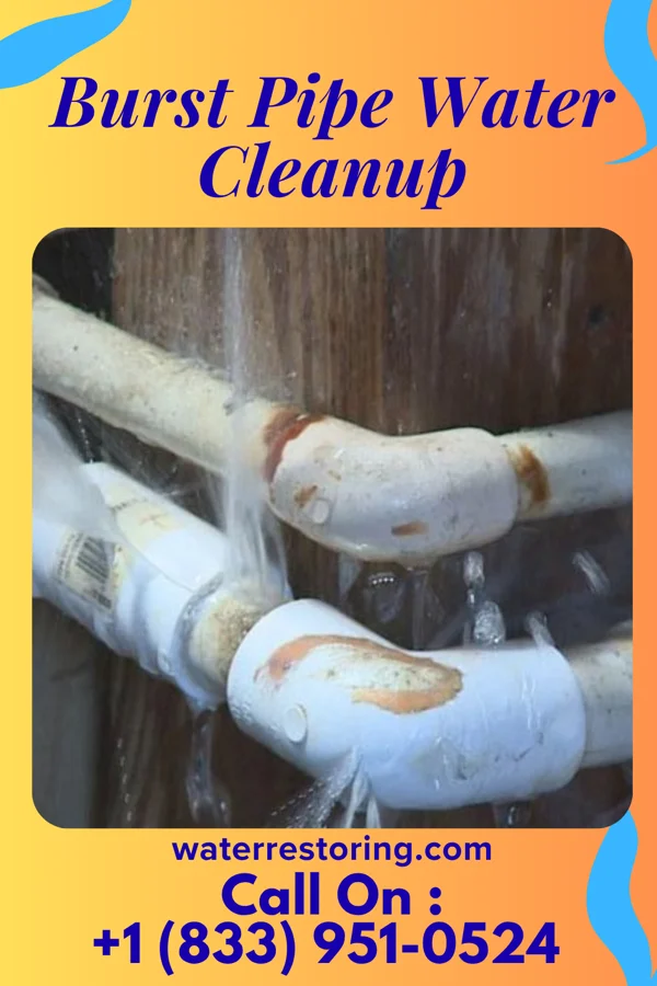 Burst Pipe Water Cleanup in Harrisville, OH