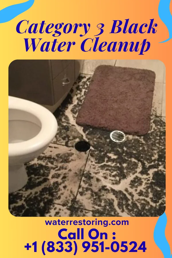 Category 3 Black Water Cleanup in Harrisville, OH