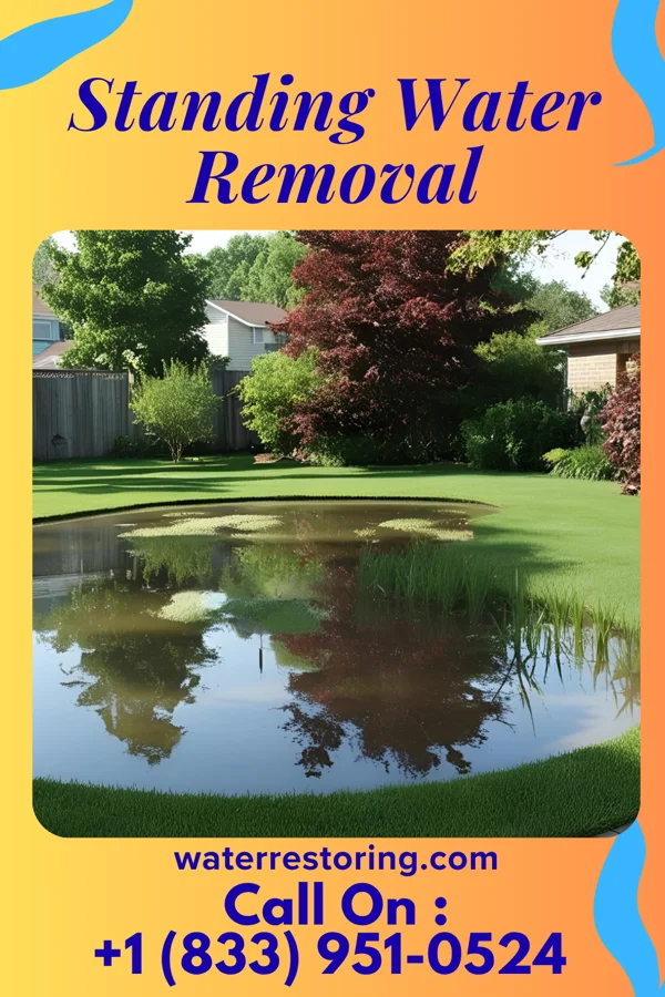 Standing Water Removal in Harrisville, OH